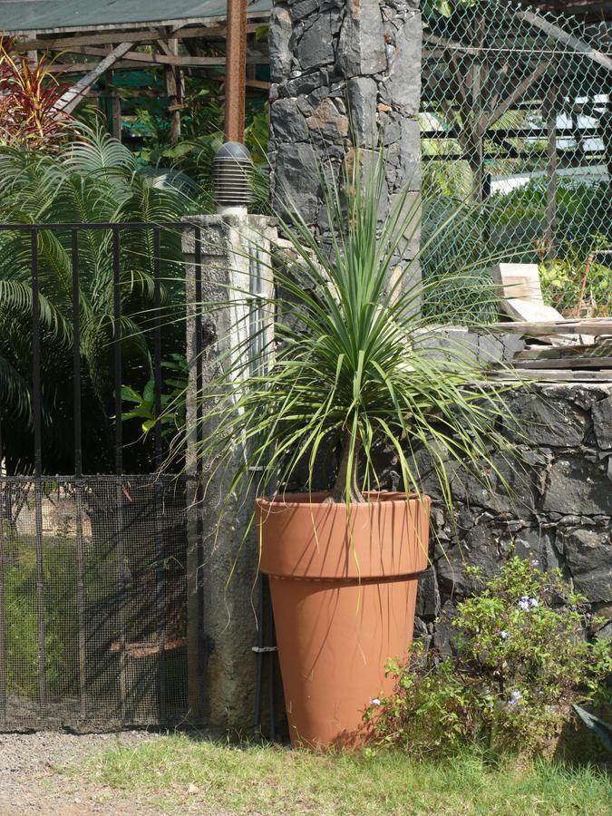 Emoyeni Gardens Sao Tome Exterior foto